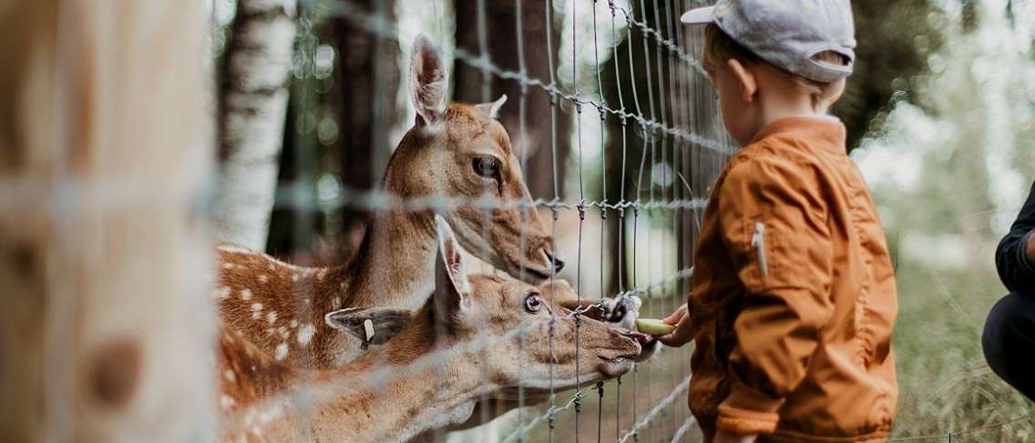 Persiapan Jika Ingin Mengajak Anak Ke Kebun Binatang