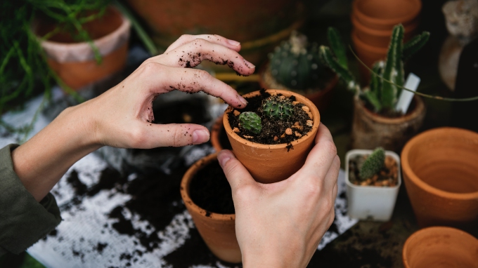 Coba Berkebun atau Menanam Bunga