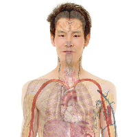 Garuk Telinga saat Tenggorokan Gatal? Yuk, Pelajari Body Hacks Lainnya!