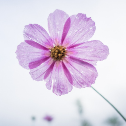 Perdarahan saat Hamil, Normal atau Tidak Normal?