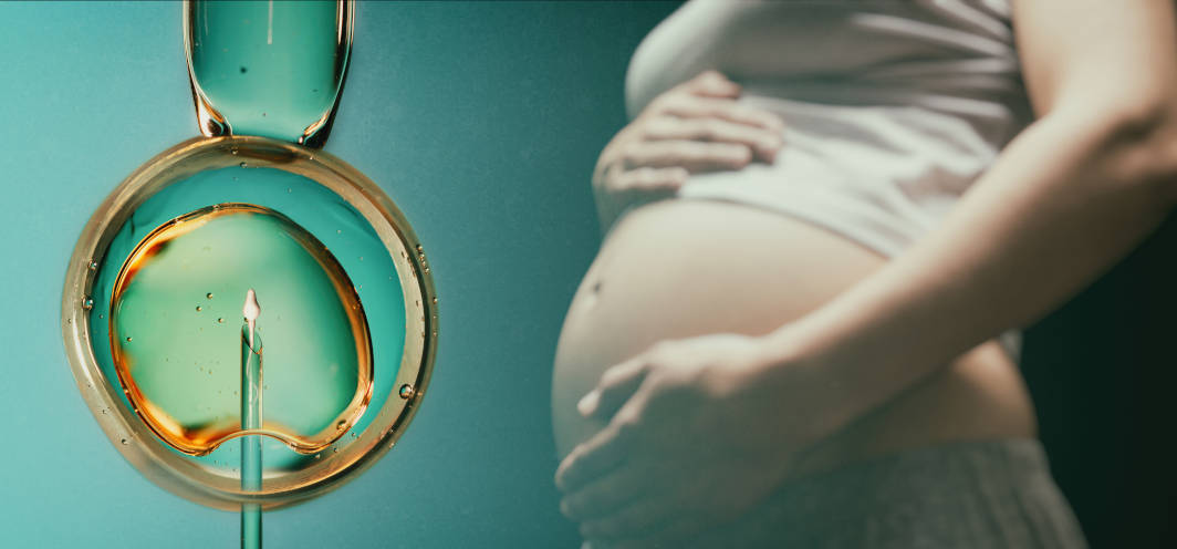  Intip 6 Perbedaan Inseminasi dan Bayi Tabung