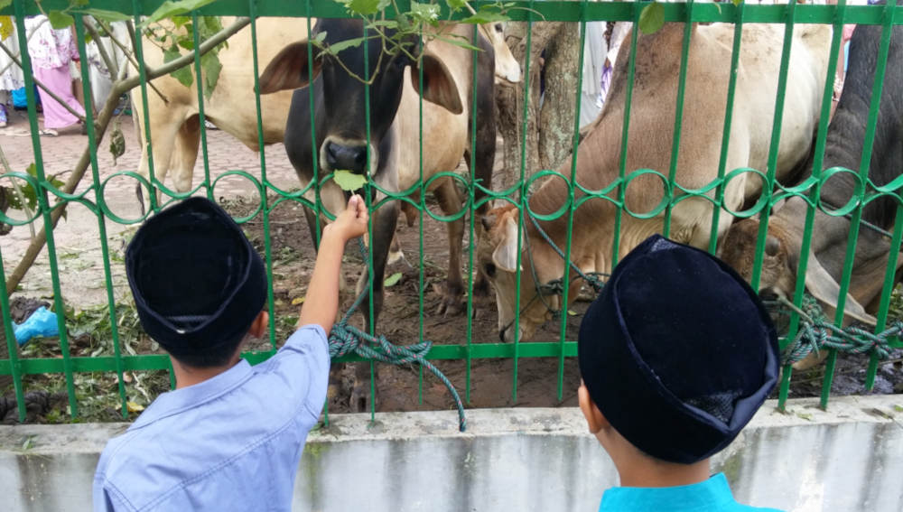 Cara Mengajarkan Makna Iduladha pada Anak