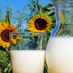 Hati-hati, Susu Kental Manis Bukan Jenis Susu Siap Minum!