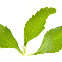 Stevia, Pengganti Gula namun Bebas Kalori