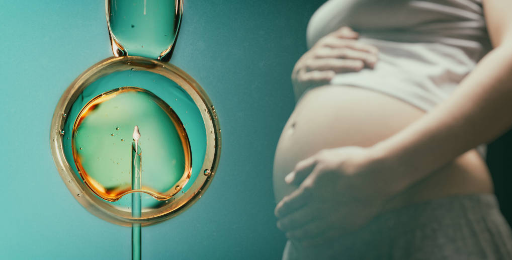  Sama-sama Reproduksi Berbantu, Kenali Perbedaan IVM dan IVF