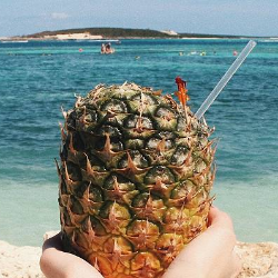 Cegah Sakit, Yuk Konsumsi Antioksidan Selama Liburan!