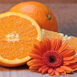 Gaya Hidup Sehat dengan Lemak Sehat