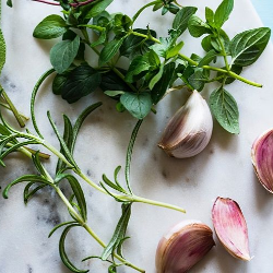 6 Antibiotik Alami Menurut Penelitian