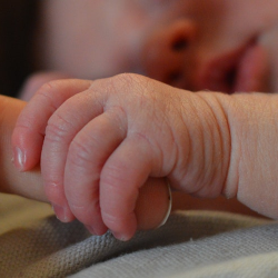 Mengenal Penyimpanan Bank Darah Tali Pusat