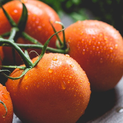 Kesalahan Dalam Menyimpan Makanan yang Sering Dilakukan