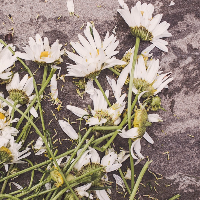 Ini yang Terjadi pada Tubuh Setelah dinyatakan Meninggal