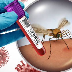 81 Tahun Merdeka, Ingat Target Nol Kematian Akibat Dengue 2030
