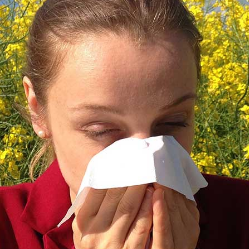 Lawan Alergi dengan Konsumsi Makanan Ini, Yuk!