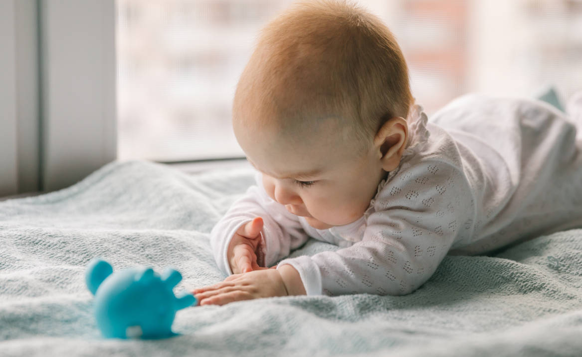 Bayi uisa 3 bulan sedang menacoba meraih mainan