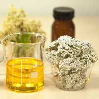 3 Minyak untuk Merawat Kecantikan Kamu