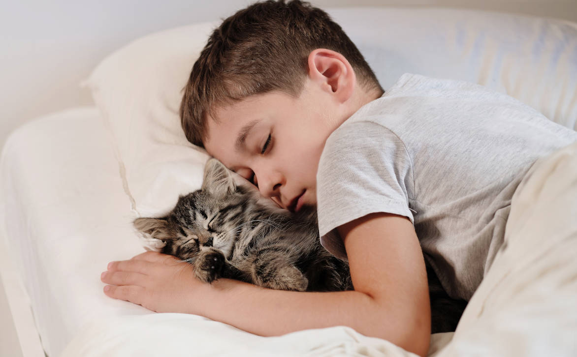 Anak tidur dengan kucingnya