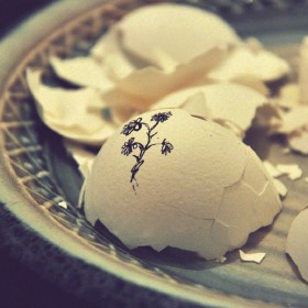 Wanita dan Menopause