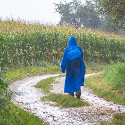 Waspada Diare, Penyakit Musiman di Kala Hujan