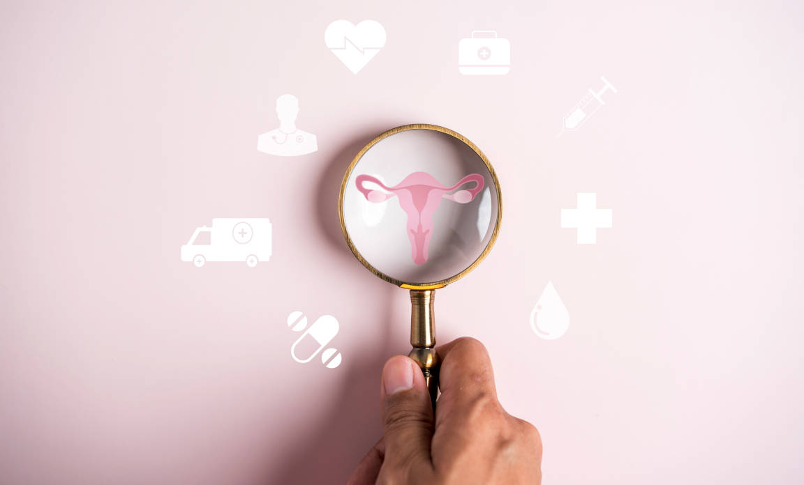 Organ reproduksi wanita