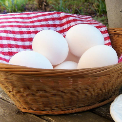 Bukan Daging Merah, Inilah Protein Hewani Terbaik Agar Anak Tinggi!