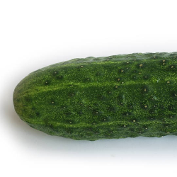 3 Syarat yang Harus Dipenuhi Agar Ereksi Optimal