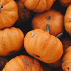 Resep Labu Kuning untuk Diabetes, Enak dan Sehat