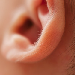 Akibat Kutu, Bocah Asal Amerika Serikat Ini Nyaris Tuli!