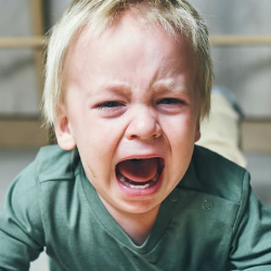 Anak Sering Tantrum? Jangan-jangan Karena Fase Terrible Two!