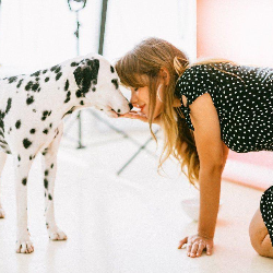 Percaya atau Tidak, Anjing Ternyata Dapat Mendeteksi Kehamilan!