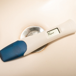 Apakah Anovulasi Membuat Wanita Tidak Bisa Hamil?