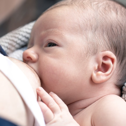Hindmilk, ASI Tinggi Lemak Kaya Manfaat untuk Tumbuh Kembang Bayi