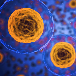 Inilah Perbedaan Antara Kista dan Tumor