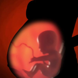 Bayi Buang Air Kecil dan Buang Air Besar Enggak Sih di Dalam Kandungan?