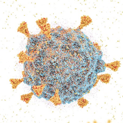 Sudah Ditemukan di Indonesia, Apakah Varian Omicron Berbahaya?