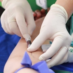 Makanan yang Boleh dan Tidak Boleh Dikonsumsi Sebelum Donor Darah