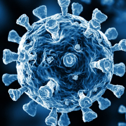 Apa Itu Badai Sitokin pada Covid-19?