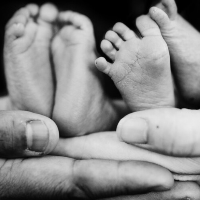 Bagaimana Kembar Identik dapat Terjadi?