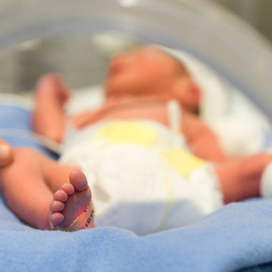 Bayi Prematur Lebih Berisiko Diabetes