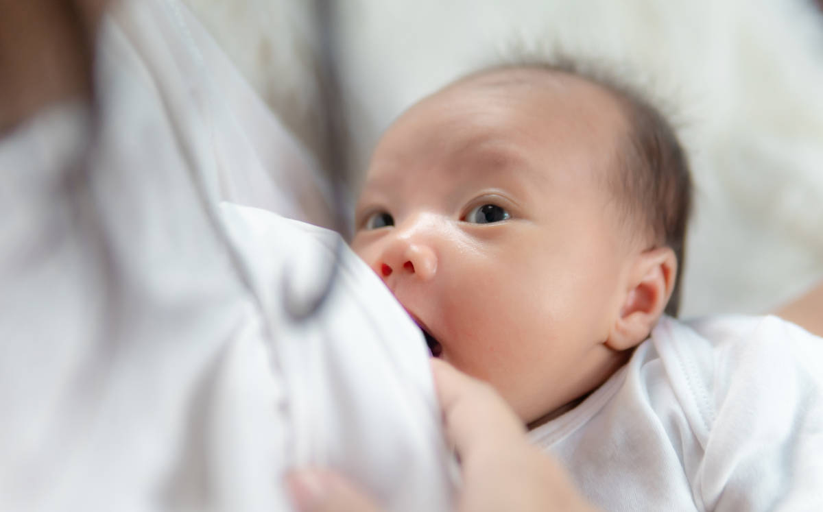 Bayi sedang belajar menyusu saat ASI belum keluar