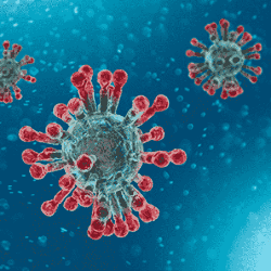 Berapa Biaya Tes Coronavirus dan di Mana Bisa Dilakukan?