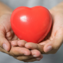 Berapa Detak Jantung Normal Per Menit?