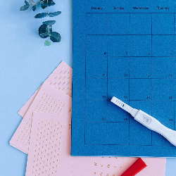 Bercinta Bukan di Masa Subur, Masih Bisakah Hamil?