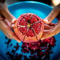 Bikin Bersih dan Glowing, Ini 5 Makanan yang Baik untuk Kesehatan Kulit