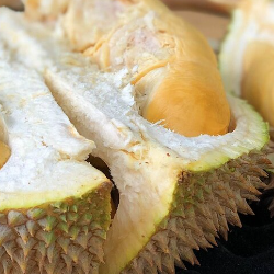 Bolehkah Ibu Hamil Makan Durian?