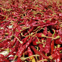 Bolehkah Ibu Hamil Makan Pedas? Kenali Dulu Efeknya, ya!