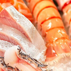 Bolehkah Makan Seafood saat Promil? Ini Faktanya!