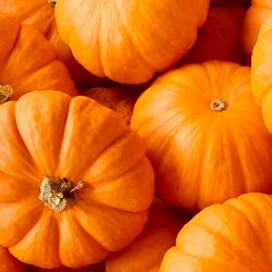 Bolehkah Penderita Diabetes Makan Labu? Cek Yuk Kandungan Gulanya!