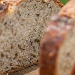 Bolehkah Penderita Diabetes Makan Roti Gandum?