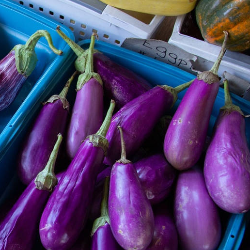 Ayo Konsumsi Sayur dan Buah Penurun Kolesterol Berikut!