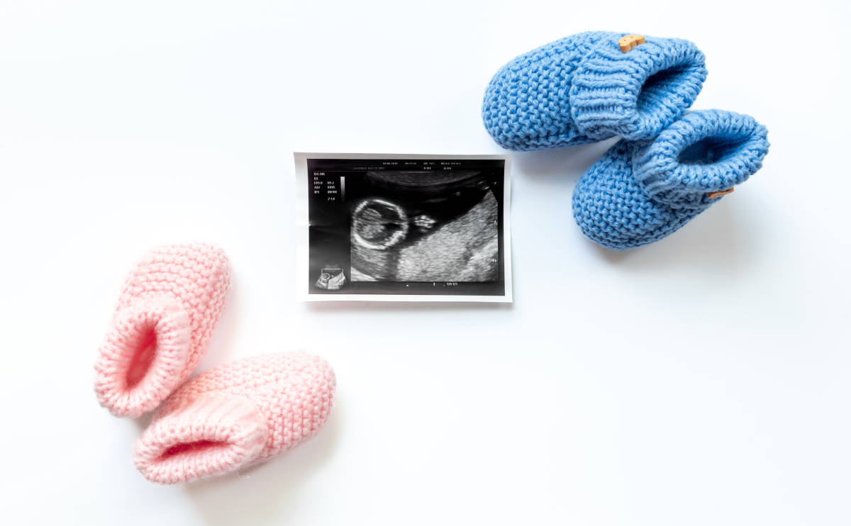 Fenomena Zero Trimester: Apa Maksudnya?